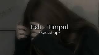 Feli - Timpul speed up (tik tok song)