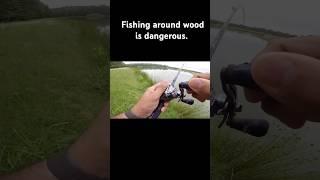 Fishing around wood is dangerous for the bass. #bassfishing #arkansasfishing #adventure