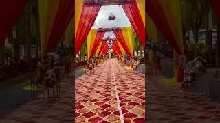 Wedding Ceremony entrance gali decoration | trus & flowers gali decoration | #decoration #shorts