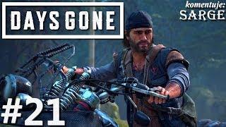 Zagrajmy w Days Gone PL odc. 21 - Czas rozprawić się z hordą