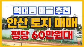 안산 토지매매 역대급 매물 추천! 평당 60만원대 010-3391-6663