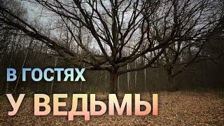 В гостях у ведьмы. Просто дневник Константиновой.