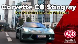 Corvette C8 Stingray - Fahrspaß en masse | AvD Fahrberichte