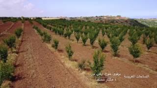 Bouznika Farm - Morocco