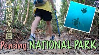 Malaysia Travel Hiking trip to Penang National Park and Turtle Conservation Centre 檳城國家公園及海龜保育中心登山行