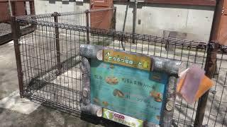 ふれあいランド (秋田市大森山動物園) 2019年4月11日