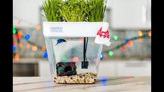 Water Garden Hydroponic & Aquaponic System by Back to the Roots | Self-Cleaning Aquaponic Fish Tank