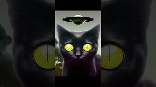 Ils sont parmi nous (par minou) #minou  #ovni #ovnis #soucoupevolante #iwanttobelieve #xfiles