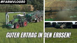 Die ersten "guten" Erträge in den Erbsen? Güllefahren auf dem Grünland FARMVLOG #80