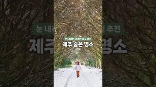  제주에 눈이 오면 꼭 가야 하는 숨은 숲길 명소 