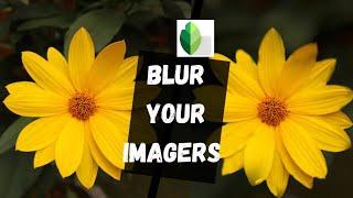 How to blur image with phone- Snapseed - Blur image with Snapseed - Tech Authority