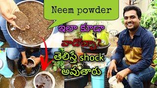 Neem powder ఇలా కూడా వాడొచ్చా? తెలిస్తే shock అవుతారు! How to use Neem cake powder