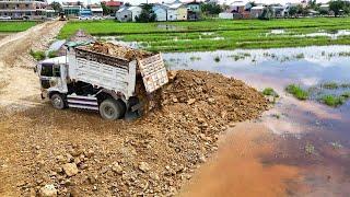 Update.!! Dump Trucks 5T Pour soil Fill with DR51PX KOMATSU Dozer Push to clean the ground