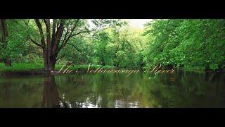 Epic Adventure on Nottawasaga River in Elmvale | 4k