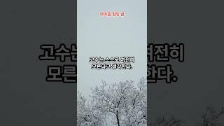 심금을 울리는 내마음 힐링글 #명언 #인생조언 #좋은글