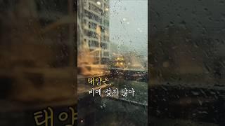 쓸쓸했던 것은 비가 아니라 마음이었을테니