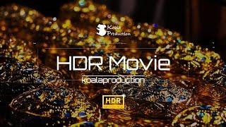 Experience the best HDR 2024｜Koala Production