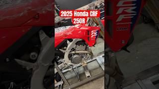 2025 Honda CRF 250 R Assembly & Start Up #honda #dirtbike