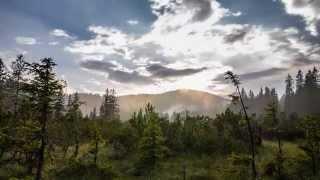 Pokljuka, Slovenia - 4K Time Lapse