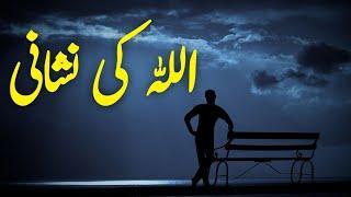 ALLAH Ki Nishani | Spiritual Quotes Compilation Video | Listen the Islam Q.K