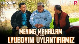 Mening mahallam yohud Lyuboyini uylantiramiz (o'zbek serial) 16-qism