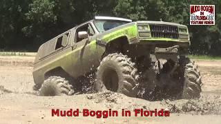 Mudd Boggin in Florida - Lost Profit