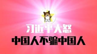 关键指标崩塌，中国政府救经济成笑话！习近平大怒，下令处理敢言经济学家？中国官府开始打「俄罗斯商品馆」，这是什么意思？