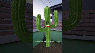 Man fires at cactus