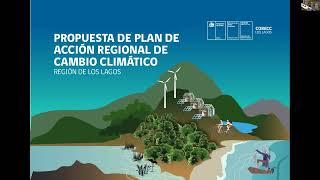 2022 10 28 sesión CORECC Los Lagos