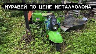 Муравей по цене металлолома! Что с ним делать? 1 Серия!