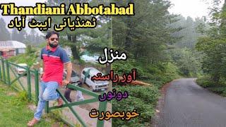 Thandiani Top Abbotabad | Hill Station of Pakistan | Abbotabad To Thandiani | Sheraz Malik