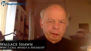 "Why I Call Myself a Socialist" by Wallace Shawn