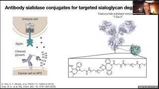 Melissa Gray – Engineering antibody-sialidase for targeted removal of sialic acids from glycocalyx