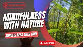 Mindfulness With Nature