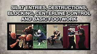 Silat Combative Entries, Blocks, Destructions DVD