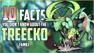 10 FACTS You DIDN'T KNOW About The TREECKO Family!