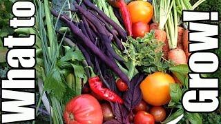 How to Choose What Crops to Grow (Beginning Gardening #3)