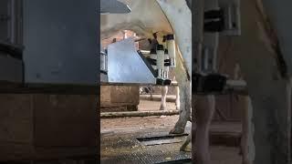 Merlin M2 | Lely A5 | Delaval V310 milking robot