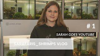 Sarafaris Shrimps Vlog #1 I Sarah goes Youtube I #garnelen #aquarium #zucht