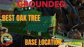 Grounded - Best Spot To Build A Base On The Oak Tree For New Players - Safest Place At The Oak Tree