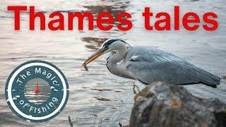 Fishing tales from the River Thames