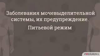 заболевания мочевыделительной системы