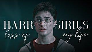 harry & sirius | loml