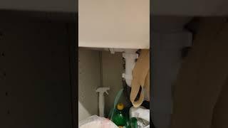 Сильный запах канализации на кухне