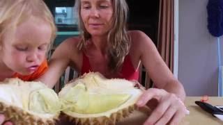 Eating Durian with Shaye 4, How to open ripe Durian; hands only!