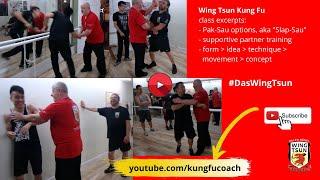 Wing Tsun Kung Fu Pak Sau training variations, lovingly aka "Slap Sau" - Wing Chun