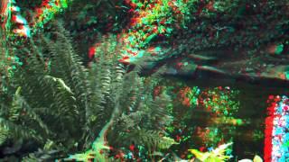 3D Video for Red/Blue glasses: Anaglyph.