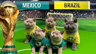 LETS UNLEASH CATS KITTENS  WORLD CUP GAME 2!