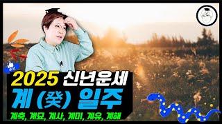 을사년 신년운세 - 계(癸) 일주