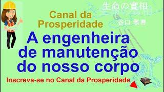 A engenheira de manutenção do nosso corpo, Canal da Prosperidade Prof Massaharu Taniguchi